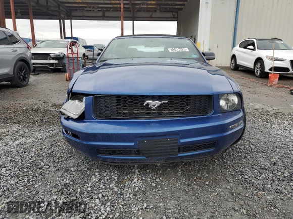 2008 Ford Mustang Deluxe with VIN 1ZVHT84N685143447, listed as a Copart auction lot 48021925 with 79,302 mi miles and Salvage Title. Bid and sale history available at carsss.com. Image 5.