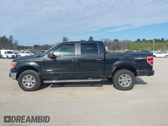 2011 Ford F-150 XLT with VIN 1FTFW1ET7BFA54123, listed as a IAAI auction lot 42119218 with 208,258 mi miles. Bid and sale history available at carsss.com. Image 14.