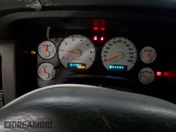 2002 Dodge 1500 with VIN 1D7HA16K52J263179, listed as a Copart auction lot 86451004 with 317,721 mi miles and Salvage Title. Bid and sale history available at DreamBid. Image 9.