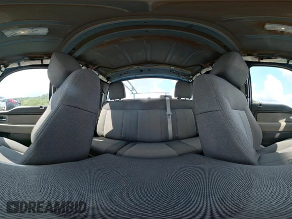 2010 Ford F-150 XL with VIN 1FTEX1E81AFC69211, listed as a IAAI auction lot 42678267 with 174,127 mi miles and . Bid and sale history available at DreamBid. Image 17.