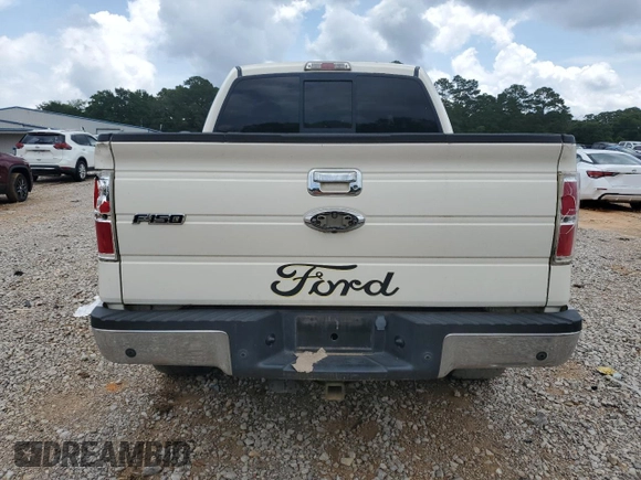 2009 Ford F-150 XL z VIN 1FTPW14V99FA49555, wystawiony jako Copart lot #57954025 z przebiegiem 246 552 mil mil oraz Szkoda całkowita • Salvage title. Historia ofert i sprzedaży dostępna na DreamBid. Obrazek 6.