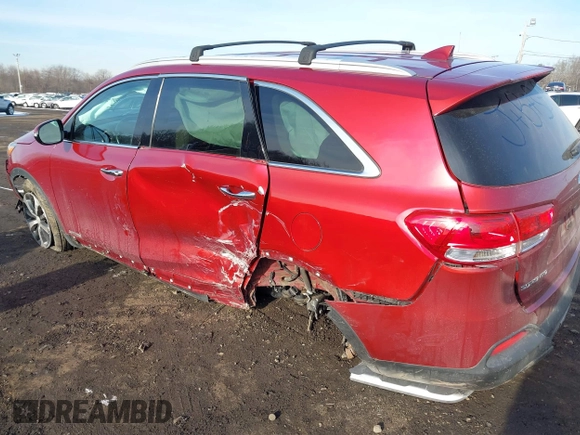 2017 Kia Sorento EX with VIN 5XYPHDA51HG313606, listed as a IAAI auction lot 41203028 with 46 mi miles and . Bid and sale history available at DreamBid. Image 16.