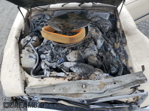 1986 Mercedes-Benz 560 SL z VIN WDBBA48D9GA042092, wystawiony jako Copart lot #82438564 z przebiegiem 43 758 mil mil oraz Szkoda całkowita • Salvage title. Historia ofert i sprzedaży dostępna na DreamBid. Obrazek 12.