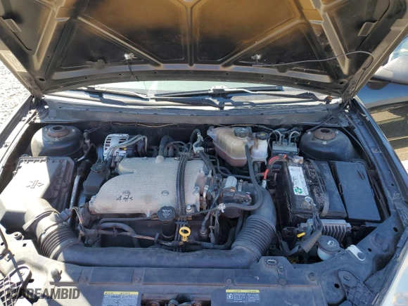 2008 Pontiac G6 GT with VIN 1G2ZH57N384129227, listed as a Copart auction lot 50336765 with 206,254 mi miles and Clean Title. Bid and sale history available at carsss.com. Image 11.