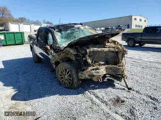 2020 GMC Sierra 1500 AT4 with VIN 1GTP9EEL9LZ359724, listed as a Copart auction lot 50170725 with 0 mi miles and Salvage Title. Bid and sale history available at carsss.com. Image 11.