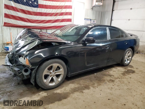 2013 Dodge Charger SE with VIN 2C3CDXBG1DH725486, listed as a Copart auction lot 49420265 with 215,154 mi miles and Salvage Title. Bid and sale history available at DreamBid. Image 1.