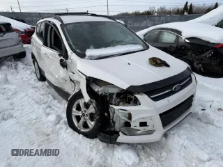 2013 Ford Escape SE with VIN 1FMCU9G97DUB99908, listed as a Copart auction lot 48123295 with Not Provided miles and Non Repairable. Bid and sale history available at DreamBid. Image 4.