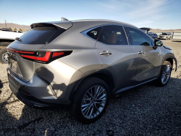 2024 Lexus NX with VIN 2T2HKCEZ8RC027709, listed as a Copart auction lot 87768135 with 0 mi miles and Salvage Title. Bid and sale history available at carsss.com. Image 3.