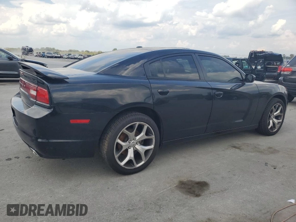 2014 Dodge Charger RT with VIN 2C3CDXDT9EH156429, listed as a Copart auction lot 72791694 with 171,052 mi miles and Salvage Title. Bid and sale history available at carsss.com. Image 3.