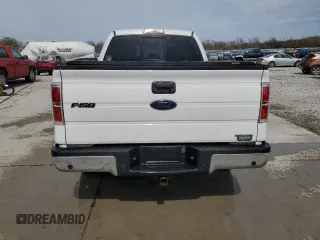 2013 Ford F-150 XL with VIN 1FTEX1CM4DFC81650, listed as a Copart auction lot 52021375 with 172,413 mi miles and Salvage title. Bid and sale history available at DreamBid. Image 6.