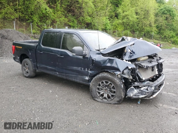 2023 Ford F-150 XL with VIN 1FTFW1E50PFA81169, listed as a Copart auction lot 55646095 with Not provided miles and Salvage title. Bid and sale history available at DreamBid. Image 4.