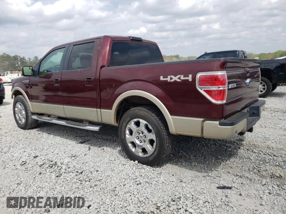 2009 Ford F-150 XL with VIN 1FTPW14V69FA81573, listed as a Copart auction lot 49098534 with 237,463 mi miles and Salvage title. Bid and sale history available at DreamBid. Image 2.