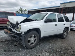 2007 Chevrolet TrailBlazer LS with VIN 1GNDS13S972249403, listed as a Copart auction lot 52070115 with 195,419 mi miles and Salvage Title. Bid and sale history available at DreamBid. Image 1.