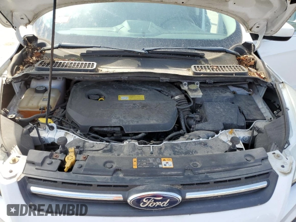 2013 Ford Escape SE with VIN 1FMCU9GX9DUB91582, listed as a Copart auction lot 53540065 with 126,426 mi miles and Clean Title. Bid and sale history available at carsss.com. Image 12.