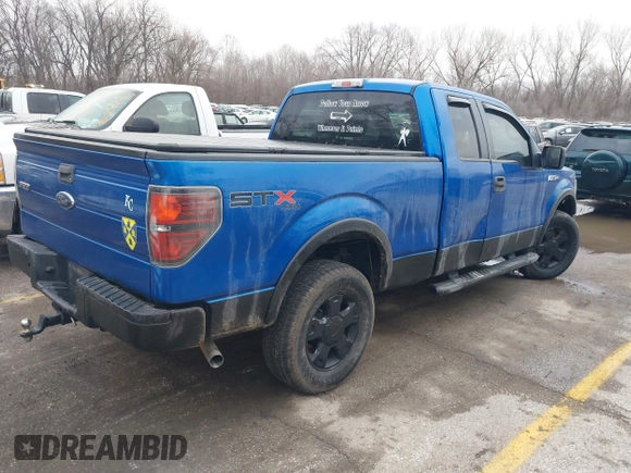 2010 Ford F-150 XL with VIN 1FTEX1EW6AFA32177, listed as a IAAI auction lot 41524783 with 186,145 mi miles. Bid and sale history available at carsss.com. Image 4.
