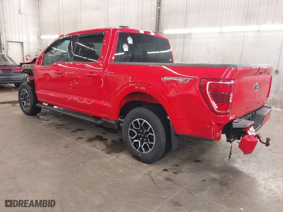 2023 Ford F-150 XL with VIN 1FTEW1EP1PKF53349, listed as a IAAI auction lot 41716758 with 12,428 mi miles. Bid and sale history available at carsss.com. Image 3.