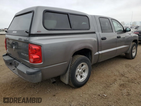 2010 Dodge Dakota SXT with VIN 1D7CW3GP3AS161843, listed as a Copart auction lot 76721334 with 308,931 mi miles and Clean Title. Bid and sale history available at DreamBid. Image 3.