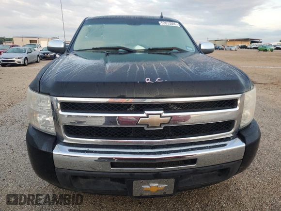 2010 Chevrolet Silverado 1500 LT with VIN 3GCRCSE00AG214860, listed as a Copart auction lot 53073005 with 140,458 mi miles and Salvage Title. Bid and sale history available at DreamBid. Image 5.