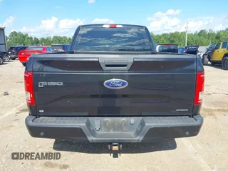 2015 Ford F-150 XL with VIN 1FTEX1C88FKE45401, listed as a IAAI auction lot 42667833 with 250,866 mi miles and . Bid and sale history available at DreamBid. Image 16.