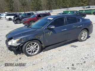 2010 Nissan Maxima 3.5 SV with VIN 1N4AA5AP5AC842784, listed as a Copart auction lot 50393795 with 174,505 mi miles and Salvage Title. Bid and sale history available at carsss.com. Image 1.