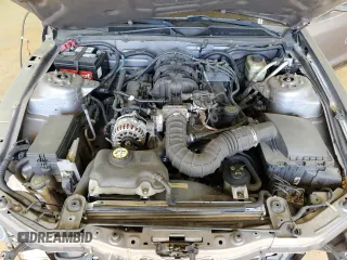 2006 Ford Mustang Standard with VIN 1ZVHT84N165144471, listed as a Copart auction lot 51743815 with 196,243 mi miles and Salvage Title. Bid and sale history available at carsss.com. Image 12.