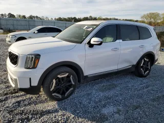 2023 Kia Telluride EX z VIN 5XYP34GC4PG326868, wystawiony jako Copart lot #50910895 z przebiegiem 38 906 mil mil oraz Szkody całkowita. Historia ofert i sprzedaży dostępna na DreamBid. Obrazek 1.