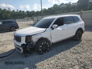2024 Kia Telluride SX z VIN 5XYP54GC9RG454570, wystawiony jako Copart lot #69378564 z przebiegiem 9 925 mil mil oraz Szkoda całkowita • Salvage title. Historia ofert i sprzedaży dostępna na DreamBid. Obrazek 1.