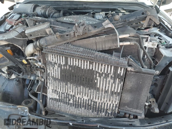 2008 Ford F-250 with VIN 1FTSF20R08EB92004, listed as a Copart auction lot 57567515 with 292,794 mi miles and Salvage title. Bid and sale history available at DreamBid. Image 11.