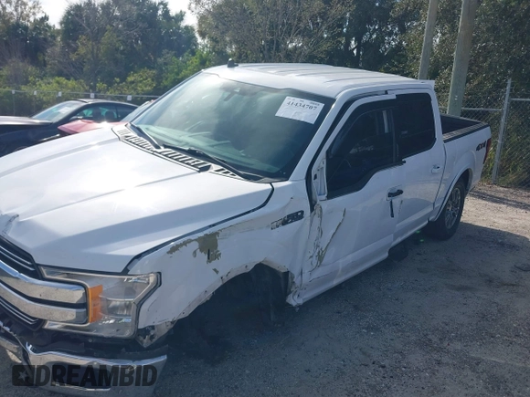 2019 Ford F-150 XL with VIN 1FTEW1E5XKKD48460, listed as a IAAI auction lot 41434707 with 98,431 mi miles. Bid and sale history available at carsss.com. Image 14.