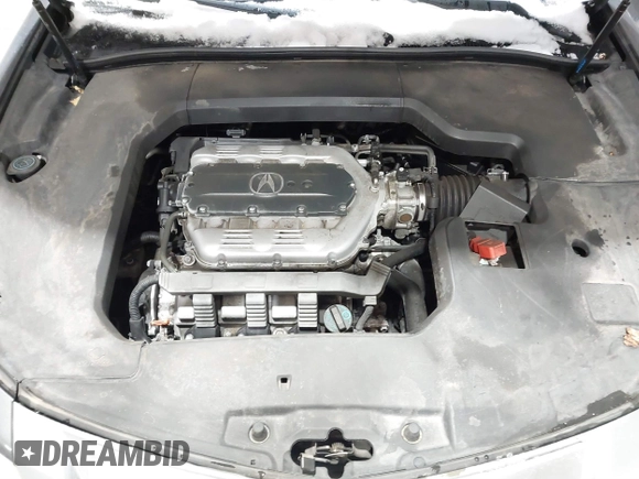 2009 Acura TL Tech with VIN 19UUA86559A006482, listed as a IAAI auction lot 41531597 with 203,255 mi miles. Bid and sale history available at carsss.com. Image 10.