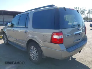 2008 Ford Expedition SSV with VIN 1FMFU15558LA15589, listed as a IAAI auction lot 41780500 with 207,045 mi miles and . Bid and sale history available at DreamBid. Image 3.