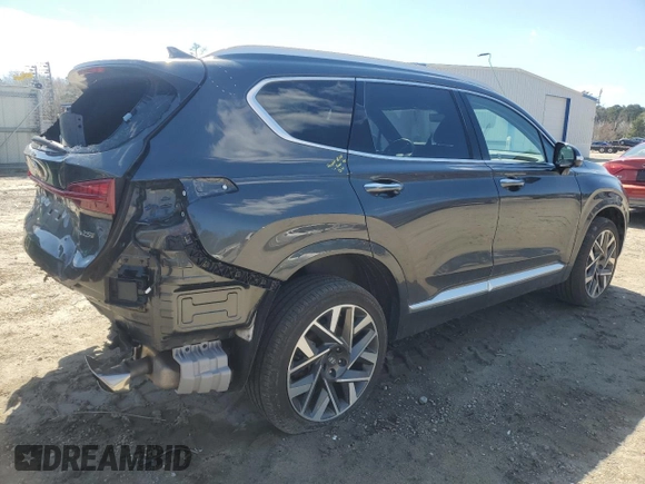 2023 Hyundai Santa Fe Calligraphy with VIN 5NMS5DAL6PH536486, listed as a Copart auction lot 49526825 with 21,560 mi miles and Salvage Title. Bid and sale history available at carsss.com. Image 3.