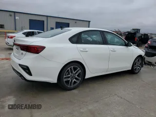 2019 Kia Forte S with VIN 3KPF34AD3KE064375, listed as a Copart auction lot 44607445 with 52,124 mi miles and Clean Title. Bid and sale history available at carsss.com. Image 3.
