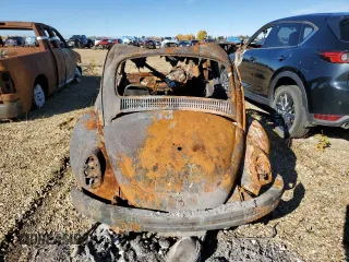1969 Volkswagen Beetle with VIN 119732081, listed as a Copart auction lot 73503964 with Not Provided miles and Non Repairable. Bid and sale history available at DreamBid. Image 6.