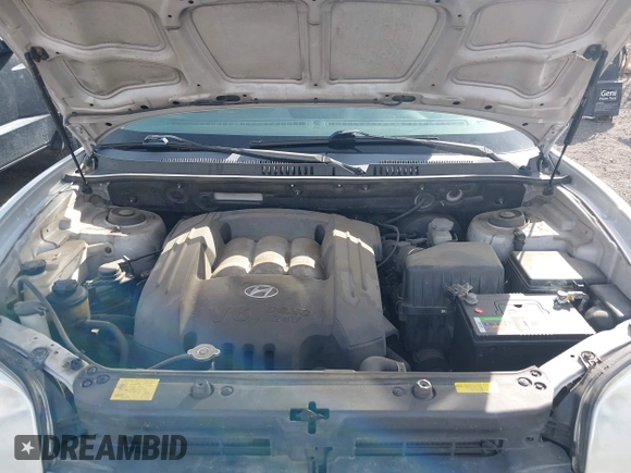 2005 Hyundai Santa Fe GLS with VIN KM8SC73D85U924785, listed as a IAAI auction lot 41964578 with 172,898 mi miles. Bid and sale history available at carsss.com. Image 10.