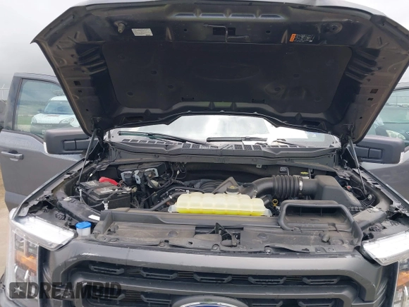 2023 Ford F-150 XL with VIN 1FTEW1C53PKD58824, listed as a IAAI auction lot 40265055 with 25,958 mi miles and . Bid and sale history available at DreamBid. Image 10.