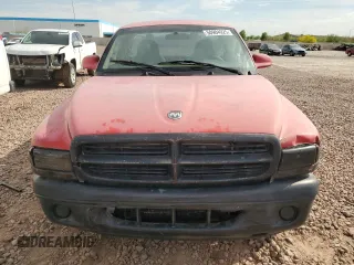 2003 Dodge Dakota with VIN 1D7FL16X43S151286, listed as a Copart auction lot 50904925 with 0 mi miles and Salvage Title. Bid and sale history available at carsss.com. Image 5.