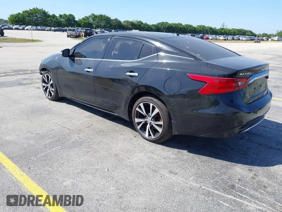 2017 Nissan Maxima SV with VIN 1N4AA6AP0HC363317, listed as a IAAI auction lot 41827159 with 132,334 mi miles. Bid and sale history available at carsss.com. Image 3.
