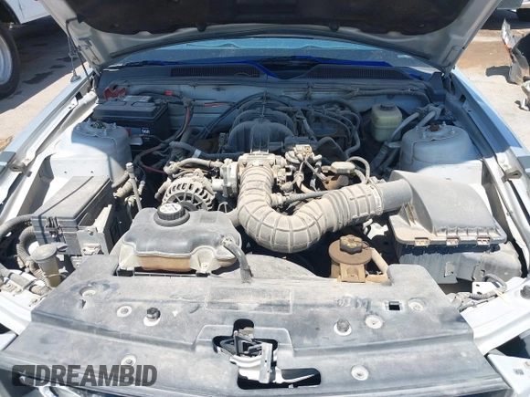 2007 Ford Mustang Deluxe with VIN 1ZVFT80N575247116, listed as a IAAI auction lot 42704286 with 169,931 mi miles and . Bid and sale history available at DreamBid. Image 10.