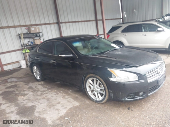 2011 Nissan Maxima 3.5 SV with VIN 1N4AA5AP0BC800525, listed as a IAAI auction lot 41969757 with 212,919 mi miles. Bid and sale history available at carsss.com. Image 1.