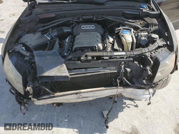 2010 Audi Q5 Prestige with VIN WA1WKBFP8AA042488, listed as a Copart auction lot 48786155 with Not provided miles and Salvage title. Bid and sale history available at DreamBid. Image 13.