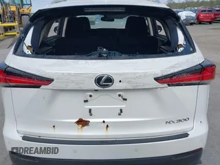 2018 Lexus NX 300 z VIN JTJBARBZXJ2154661, wystawiony jako IAAI lot #42018090 z przebiegiem Nie podano mil oraz . Historia ofert i sprzedaży dostępna na DreamBid. Obrazek 18.