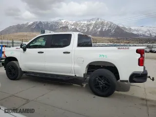 2019 Chevrolet Silverado 1500 Custom Trail Boss with VIN 1GCPYCEH3KZ236177, listed as a Copart auction lot 46128965 with 72,063 mi miles and Salvage Title. Bid and sale history available at carsss.com. Image 2.