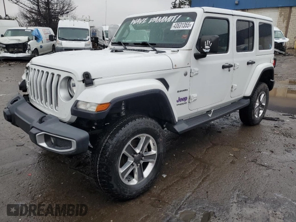 2020 Jeep Wrangler Unlimited Sahara Altitude with VIN 1C4HJXEG2LW188438, listed as a Copart auction lot 43531355 with 53,497 mi miles and Clean title. Bid and sale history available at DreamBid. Image 1.