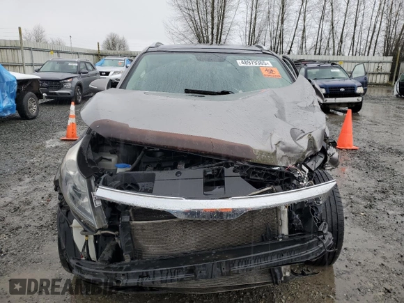 2013 Kia Sportage EX with VIN KNDPCCA24D7401149, listed as a Copart auction lot 48979365 with Not provided miles and Salvage title. Bid and sale history available at DreamBid. Image 5.