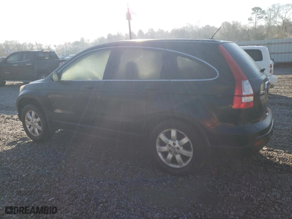 2008 Honda CR-V EX-L with VIN JHLRE38708C028048, listed as a Copart auction lot 48488165 with 310,505 mi miles and Clean Title. Bid and sale history available at carsss.com. Image 2.