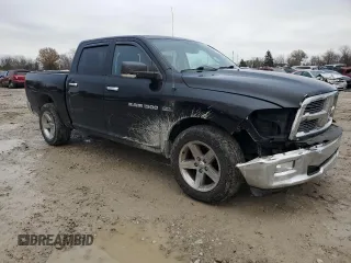 2012 Ram 1500 Big Horn with VIN 1C6RD7LT3CS291152, listed as a Copart auction lot 81600284 with 219,033 mi miles and Salvage Title. Bid and sale history available at carsss.com. Image 4.