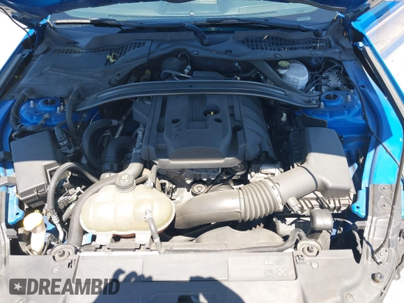 2019 Ford Mustang EcoBoost with VIN 1FA6P8TH7K5119181, listed as a IAAI auction lot 42531504 with 80,292 mi miles and . Bid and sale history available at DreamBid. Image 10.