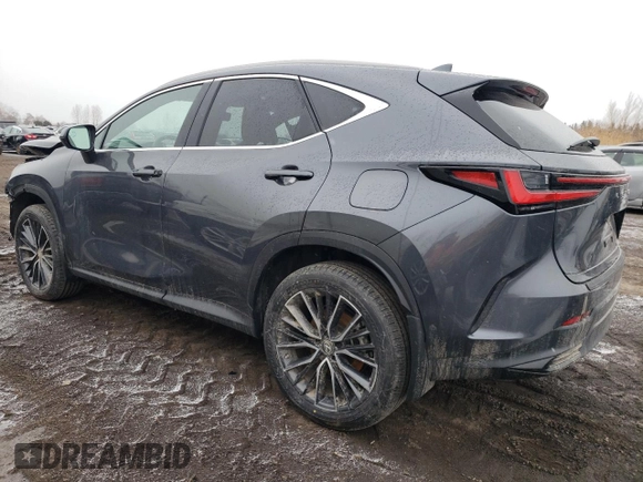 2022 Lexus NX with VIN 2T2GKCEZ5NC006791, listed as a Copart auction lot 41875783 with 2,436 mi miles. Bid and sale history available at carsss.com. Image 2.