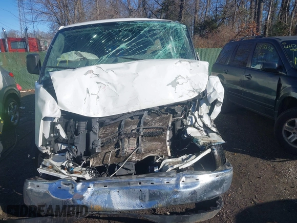 2019 Chevrolet Express Cargo with VIN 1GCWGBFG8K1317771, listed as a IAAI auction lot 41205692 with Not provided miles and . Bid and sale history available at DreamBid. Image 13.